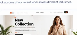 Online Shopping Experience